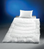 Пуховое одеяло Premium Line Down  155x200 - Body-comfort downz93u.jpg
