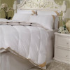 Пуховое одеяло Tivolyo home  PLATIN - Пуховое одеяло Tivolyo home  PLATIN
