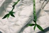 Одеяло Nature's Бархатный бамбук всесезонное - Одеяло Nature's Бархатный бамбук всесезонное