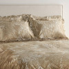 Постельное белье Roberto Cavalli PLUMAGE avorio - Постельное белье Roberto Cavalli PLUMAGE avorio