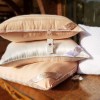 Шелковая подушка Elisabette Premium bel 50x70 (1кг) - Шелковая подушка Elisabette Premium bel 50x70 (1кг)
