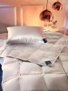 Кассетное пуховое одеяло Arctic, Brinkhaus - Кассетное пуховое одеяло Arctic, Brinkhaus
